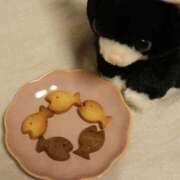 ヒメ日記 2026/09/24 21:04 投稿 そら キューティースタイル