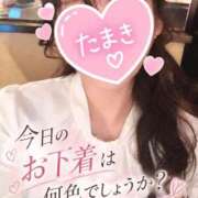 ヒメ日記 2026/09/25 11:50 投稿 たまき 西川口おかあさん