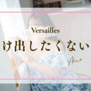 ヒメ日記 2026/10/19 08:41 投稿 あいの Versailles