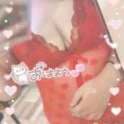 ヒメ日記 2026/09/09 12:00 投稿 ♡みらい♡ ぽっちゃりバニー