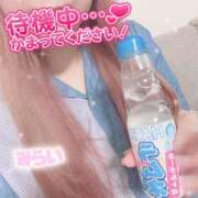 ヒメ日記 2026/09/19 18:04 投稿 ♡みらい♡ ぽっちゃりバニー