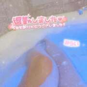 ヒメ日記 2026/09/20 01:44 投稿 ♡みらい♡ ぽっちゃりバニー