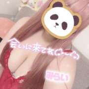 ヒメ日記 2026/09/29 21:51 投稿 ♡みらい♡ ぽっちゃりバニー