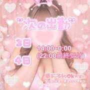 ヒメ日記 2026/09/30 18:15 投稿 ♡みらい♡ ぽっちゃりバニー