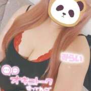 ヒメ日記 2026/10/11 18:15 投稿 ♡みらい♡ ぽっちゃりバニー