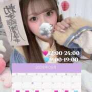 ヒメ日記 2026/09/09 19:02 投稿 れな アイドルチェッキーナ本店
