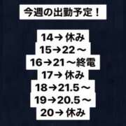 ヒメ日記 2026/09/14 17:30 投稿 なぎ パイの巣