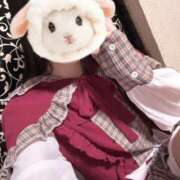 ヒメ日記 2026/10/06 16:48 投稿 ひな しゃぼんくらぶ一番館