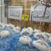 ヒメ日記 2026/09/20 12:03 投稿 天宮　りおな 雫(しずく)