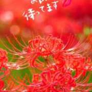 津金澤茉優花 待機中 五十路マダム姫路店