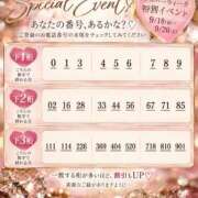ヒメ日記 2026/09/17 23:58 投稿 新田美魅(にったみみ) 五十路マダムエクスプレス厚木店(カサブランカグループ)