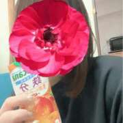 ヒメ日記 2026/09/19 08:00 投稿 笠原みお 五十路マダム 浜松店(カサブランカグループ)