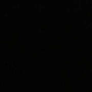 ヒメ日記 2026/10/22 21:34 投稿 くれは エフルラージュ伏見