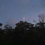 いと　業界経験激浅 おやすみなさい🌙 Premier(プレミア)