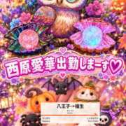ヒメ日記 2026/10/20 10:02 投稿 西原　愛華 八王子だョ！変態集合