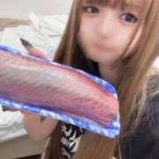 ヒメ日記 2026/09/24 21:00 投稿 るる E+アイドルスクール品川店