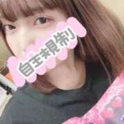 ヒメ日記 2026/09/15 10:54 投稿 あかり ぽっちゃり巨乳素人専門店ぷにめろ八王子店