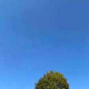 ヒメ日記 2026/10/19 08:39 投稿 麗音-REON- luxury aroma 咲