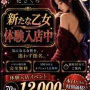 ヒメ日記 2026/09/09 12:40 投稿 ゆいか/乙女 美しい大人の女性＆乙女専門店！花さくら