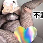 不動～FUDOU～ ブチュブチュ♡舐めまくり♡ BBW名古屋店