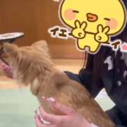 ヒメ日記 2026/10/11 09:20 投稿 りり☆可愛すぎる笑顔に夢中♪ 妹系イメージSOAP萌えフードル学園 大宮本校