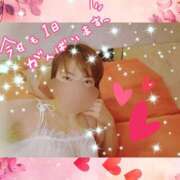 ヒメ日記 2026/09/15 11:30 投稿 あお 若妻LOVE