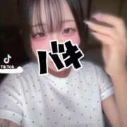 ヒメ日記 2026/09/17 19:17 投稿 ぱいん 京都クレージュ名鑑　極