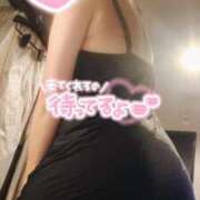 ヒメ日記 2026/09/15 08:20 投稿 村城 西船橋おかあさん