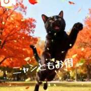 ヒメ日記 2026/10/12 18:08 投稿 りん 川越おかあさん