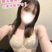 ねね 新人割期間💭💗 セグレターリオ