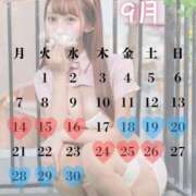 ヒメ日記 2026/09/19 14:55 投稿 Alice PROPORTION
