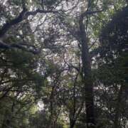 ヒメ日記 2026/09/30 12:54 投稿 たま I❤HIMEJI（アイラブ姫路）