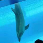 ヒメ日記 2026/09/26 12:20 投稿 まや 人妻㊙︎倶楽部