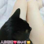 ヒメ日記 2026/09/19 09:10 投稿 めいさ 成田人妻花壇