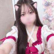ヒメ日記 2026/09/22 12:48 投稿 きゃにょん とある風俗店♡やりすぎさーくる新宿大久保店♡で色んな無料オプションしてみました