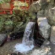 ヒメ日記 2026/09/18 08:38 投稿 ろぜ IRIS(岐阜)