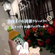 ヒメ日記 2026/09/13 01:15 投稿 桃山 寧々 人妻セレブ宮殿
