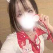 ヒメ日記 2026/09/15 07:18 投稿 ルナ バニーコレクション秋田店
