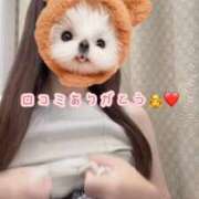 ヒメ日記 2026/09/19 22:01 投稿 姫乃【ヒメノ】 Evolution1st キタ兎我野店