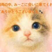 ヒメ日記 2026/09/24 12:23 投稿 美衣子（みいこ） 松戸デリヘル　熟女ヘブン