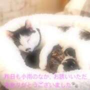 ヒメ日記 2026/09/27 19:21 投稿 美衣子（みいこ） 松戸デリヘル　熟女ヘブン