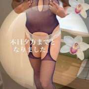 ヒメ日記 2026/09/23 10:18 投稿 紅羽（くれは） ベビードール