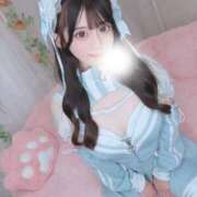 ヒメ日記 2026/09/13 12:05 投稿 らら E+アイドルスクール新宿・歌舞伎町店