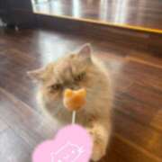 ヒメ日記 2026/10/07 12:40 投稿 りあ ハニープラザ（ユメオト）
