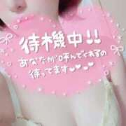 ヒメ日記 2026/09/12 19:57 投稿 【EX】まいな ミセスサマンサ