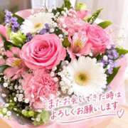 ヒメ日記 2026/10/11 09:13 投稿 あんな 水戸人妻花壇