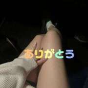 ヒメ日記 2026/09/15 20:02 投稿 咲並 なな 人妻セレブ宮殿