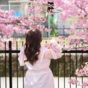 ヒメ日記 2026/09/23 23:11 投稿 ♡なお♡ ぽっちゃりバニー
