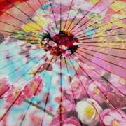 ひかる 松山遠征ありがとうございました♡ ハピネス＆ドリーム 松山道後温泉
