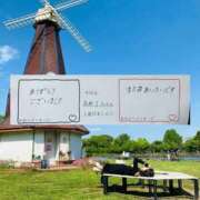 ふわり お礼です💌🧸 迷宮の人妻 古河・久喜発